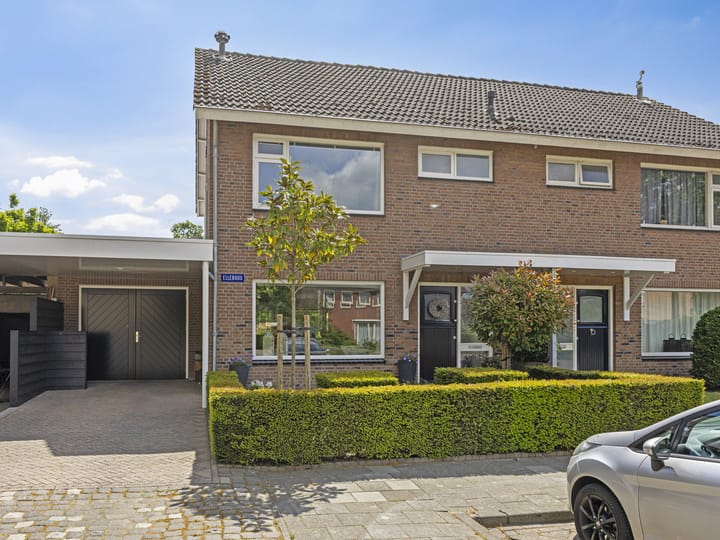 Bekijk foto van Elleboog 4
