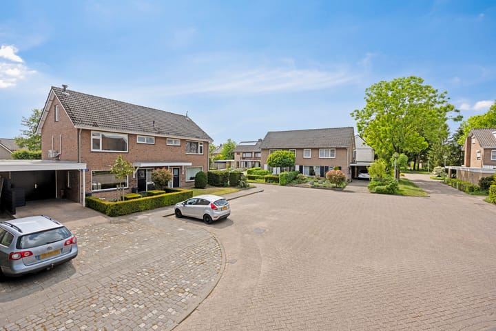 Foto 7 van Elleboog 4