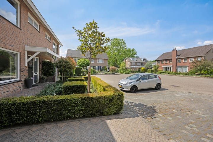 Foto 39 van Elleboog 4