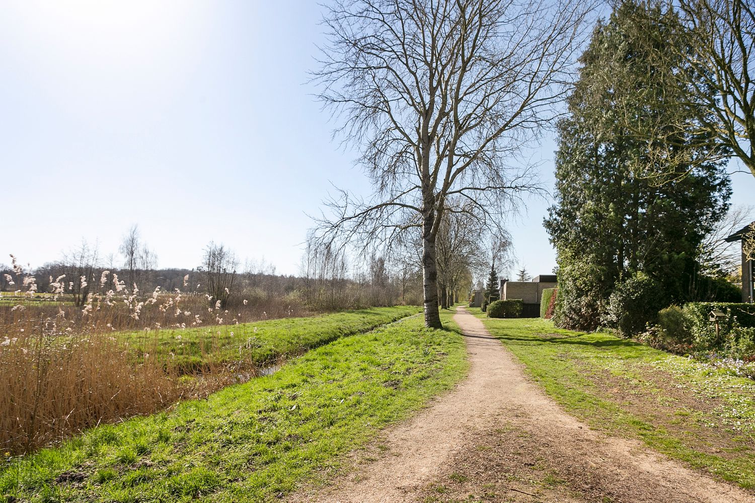 Foto 48 van Elleboog 4