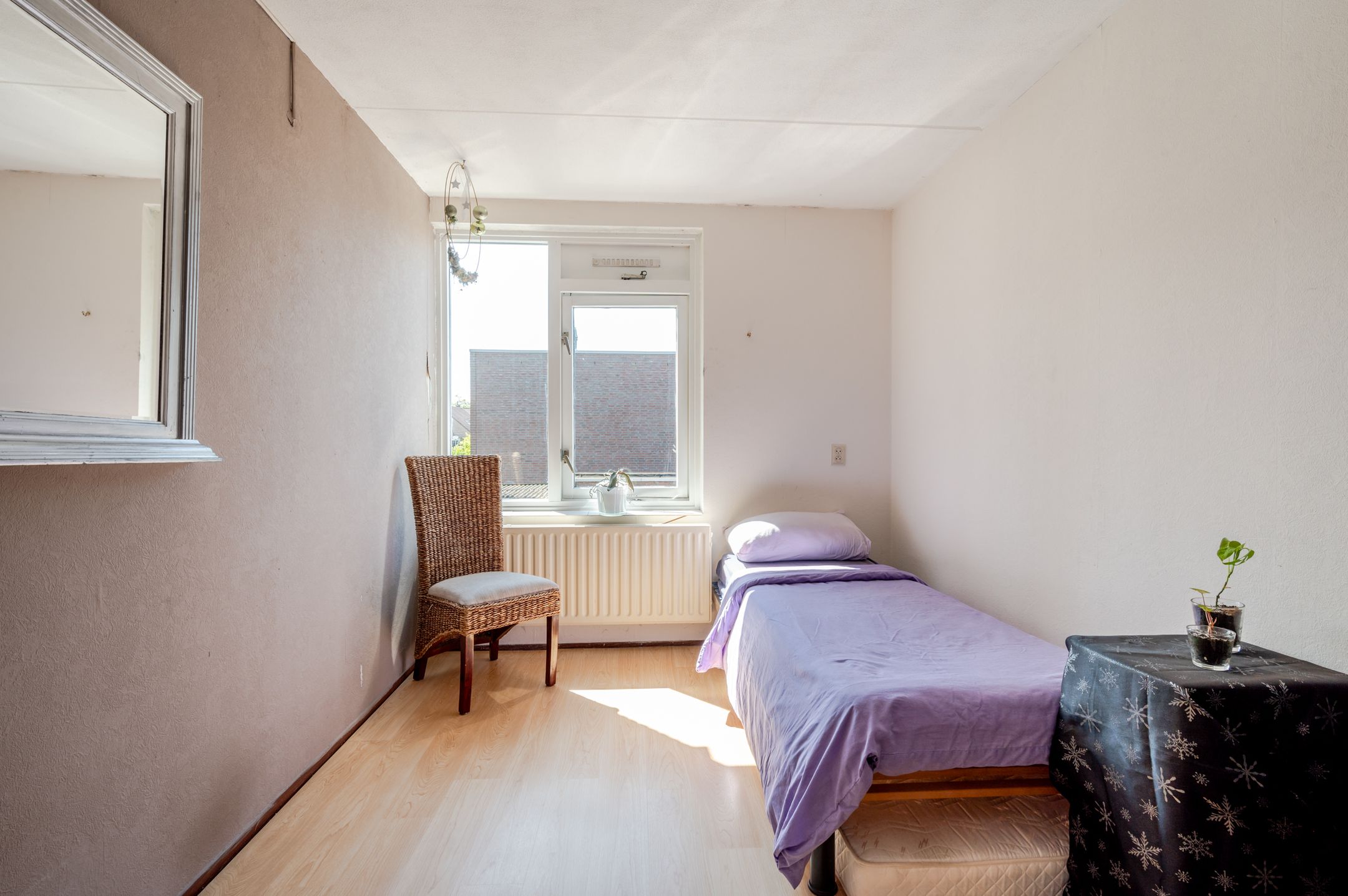 Foto 24 van Griend 41 64