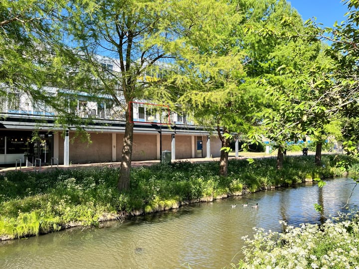 Foto 21 van Reigersbos 237