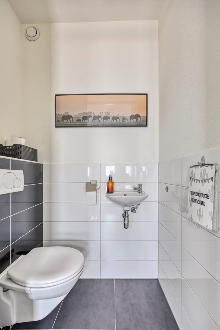 Foto 6 van Krullevaar 23