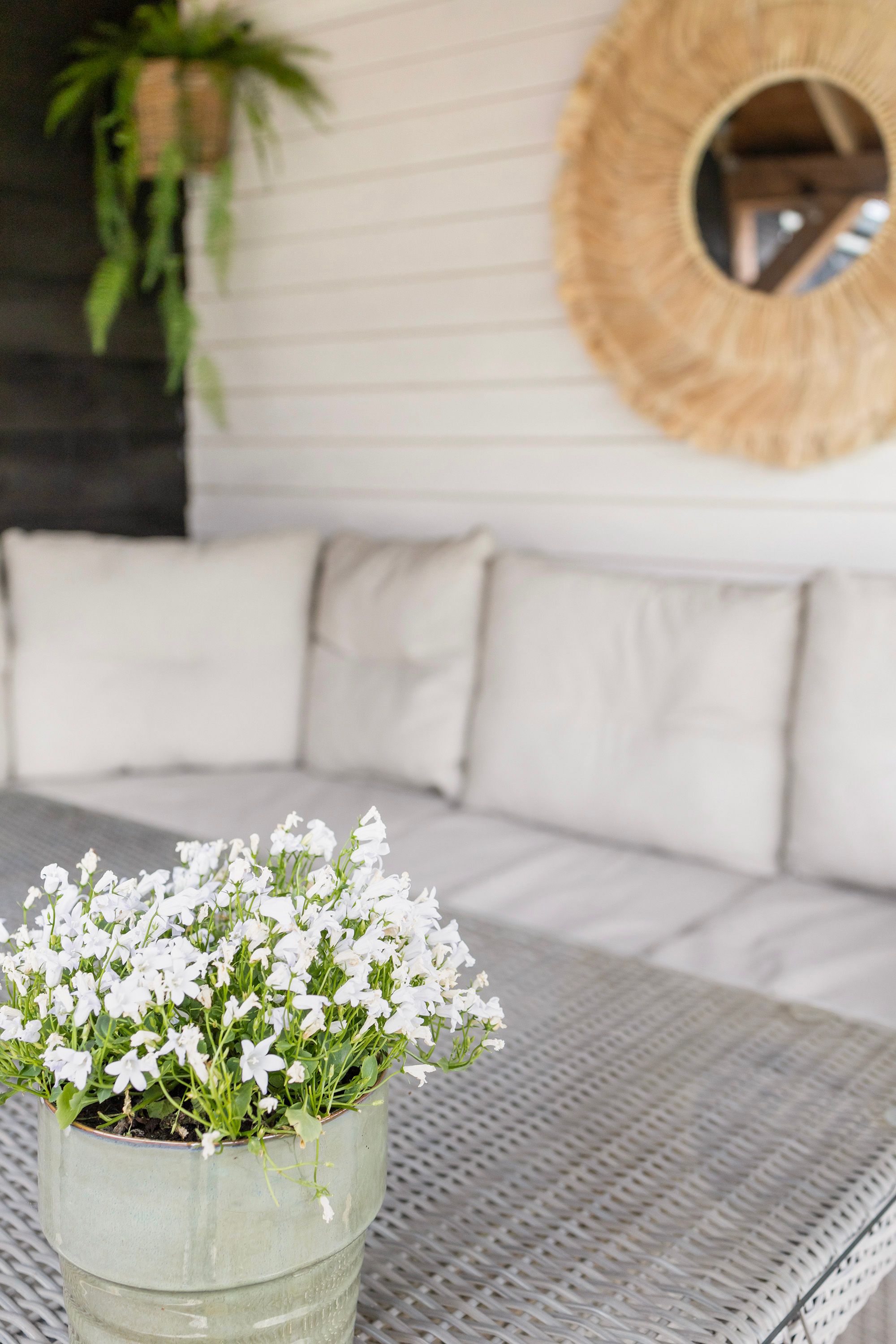 Foto 33 van De Bûterblom 2