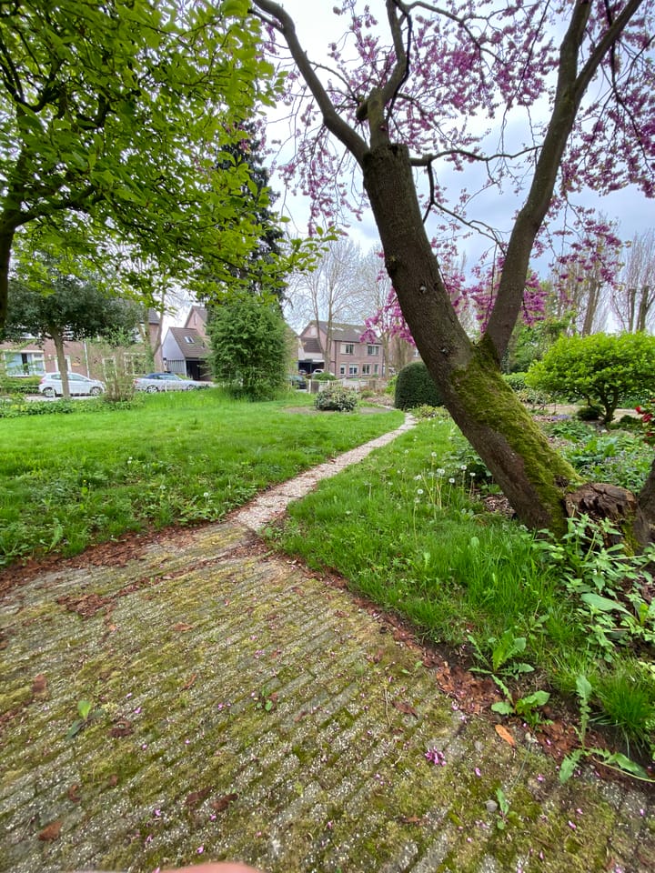 Foto 4 van Viaductstraat 78