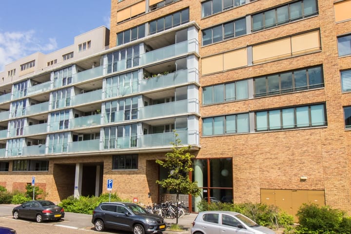 undefined main image