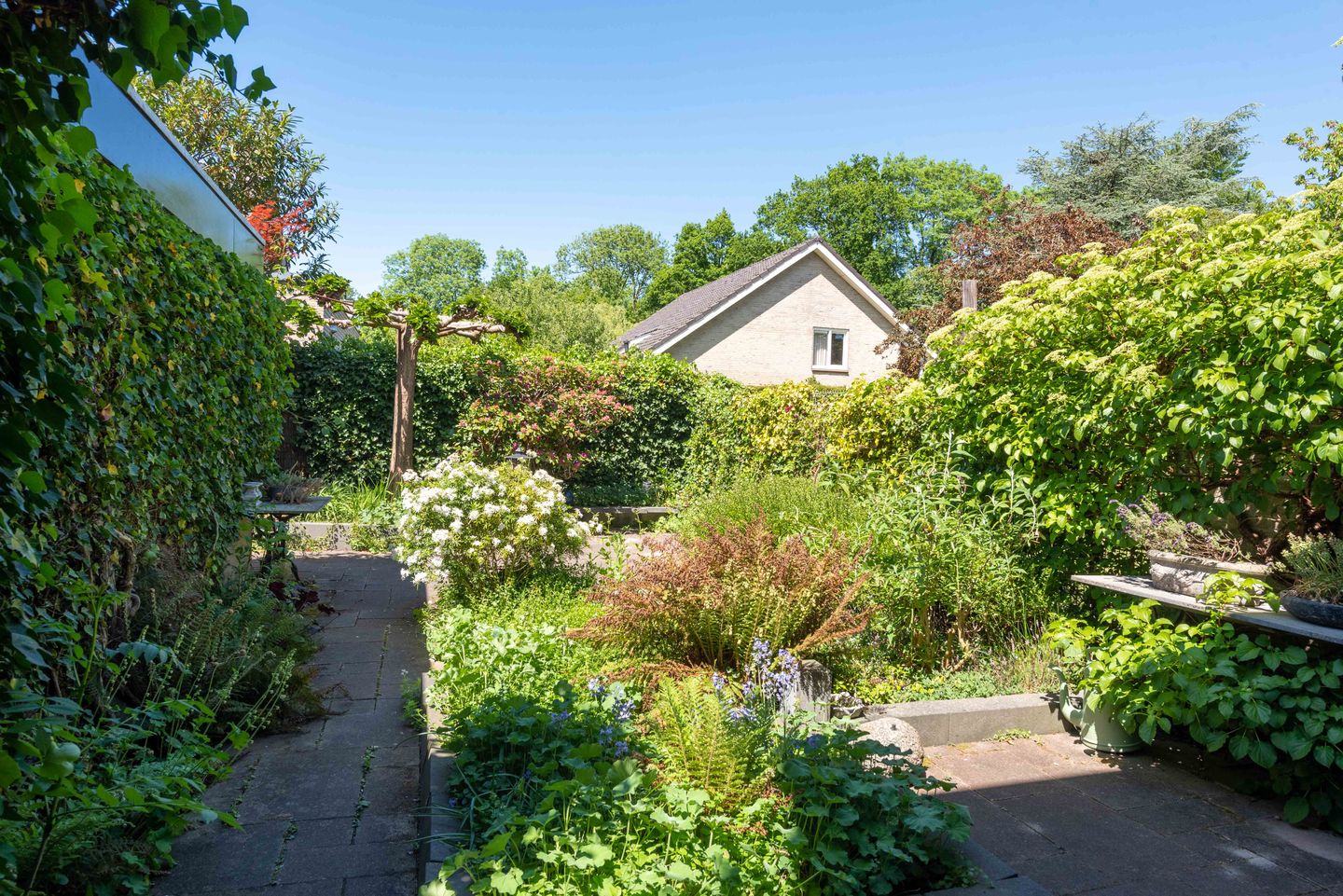 Photo 40 of Oudburgerlaan 45