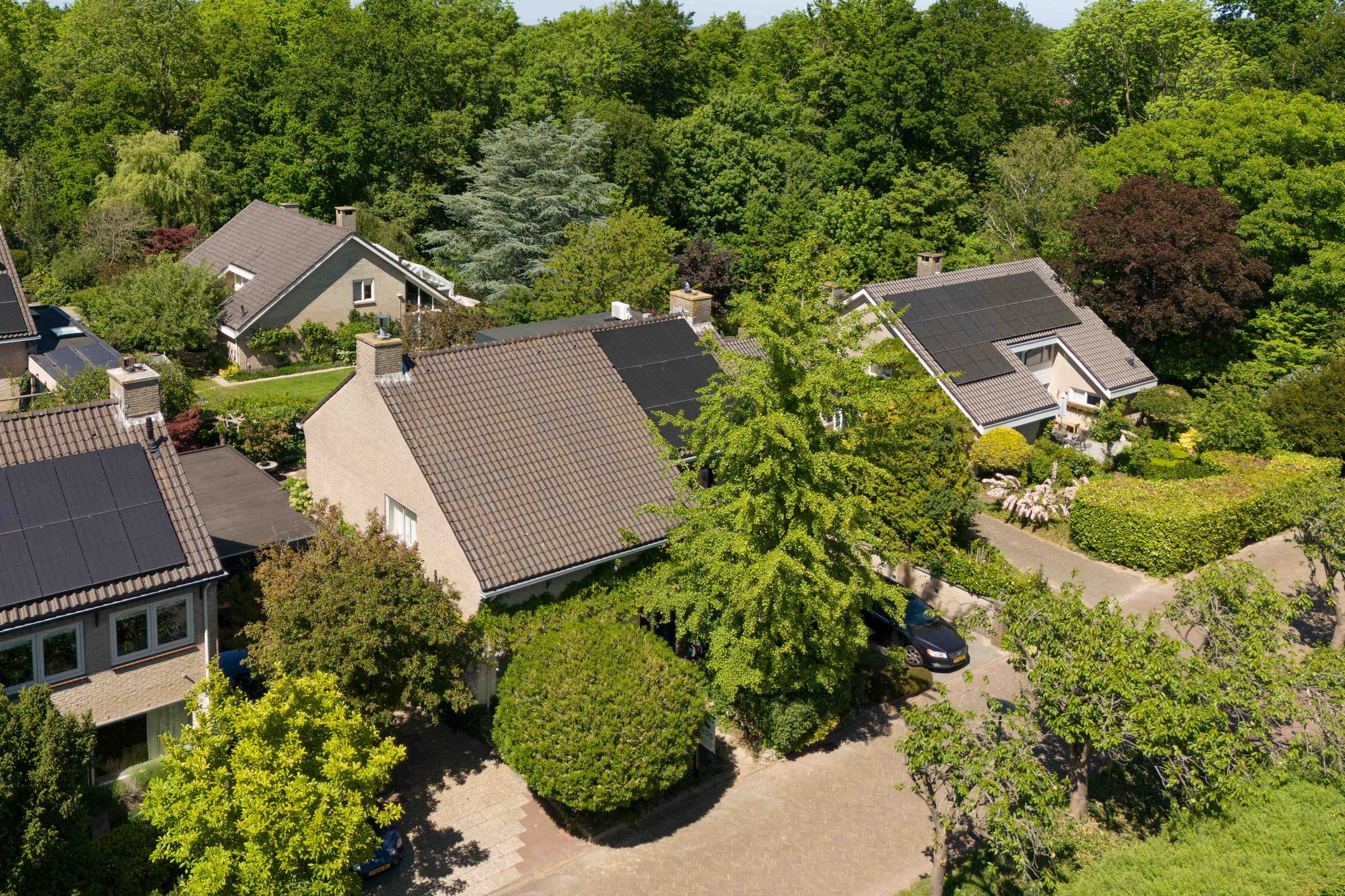 Photo 54 of Oudburgerlaan 45