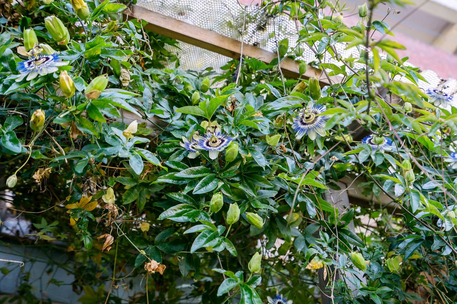 Foto 33 van Gorechtkade 137