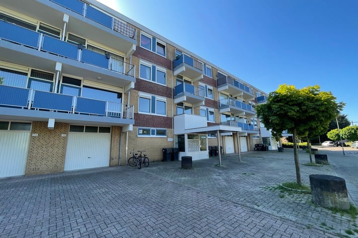 Narcissenstraat 134