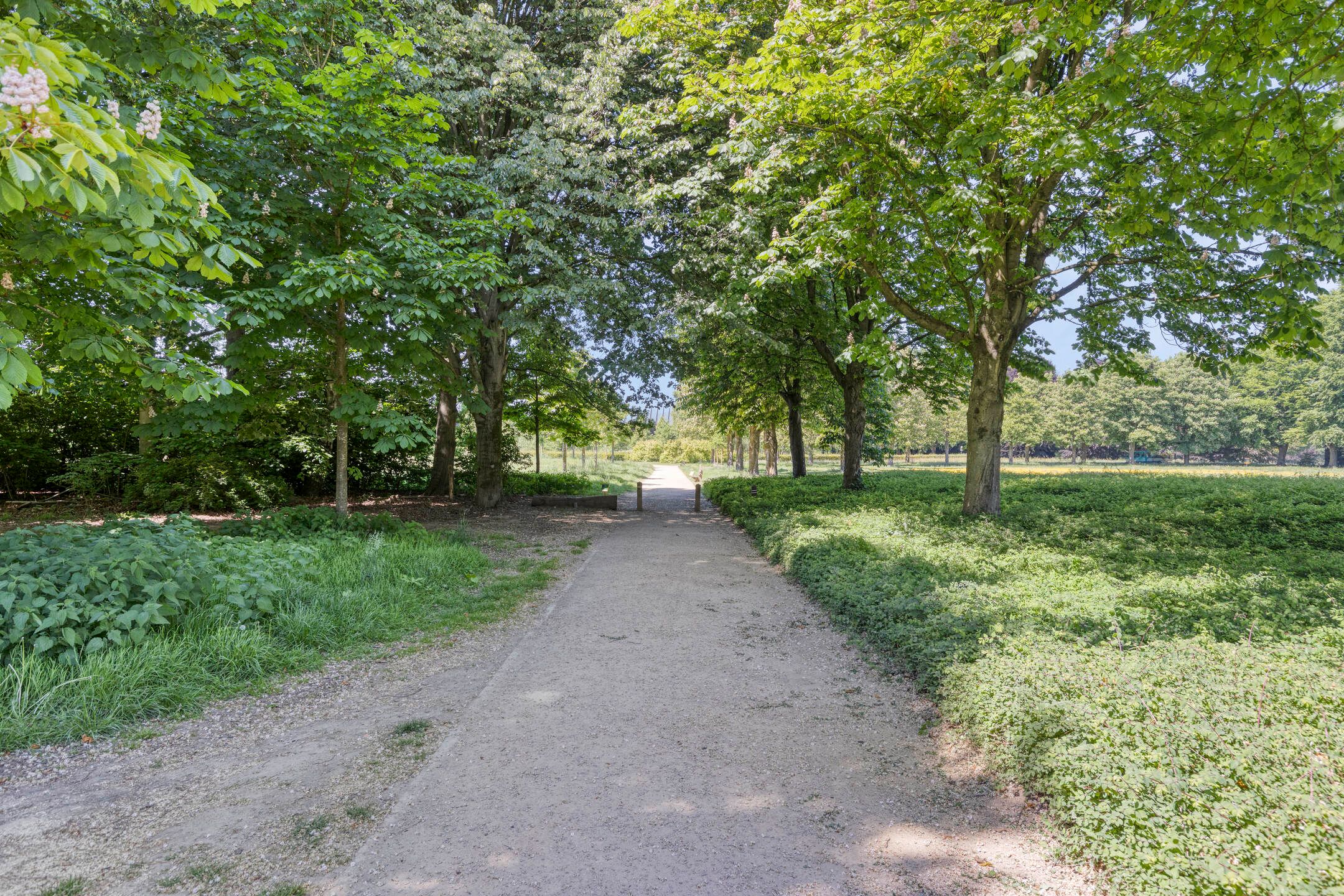 Photo 27 of Paul Scholtenweg 38