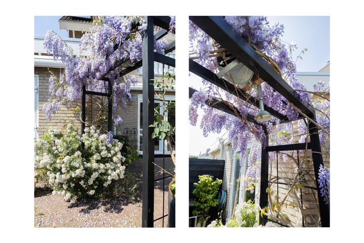 Foto 15 van Elisa van Calcarstraat 44