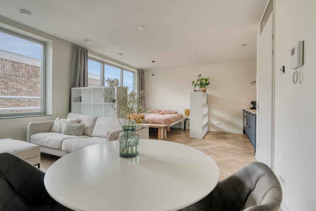 Foto 13 van Rinus Michelslaan 227