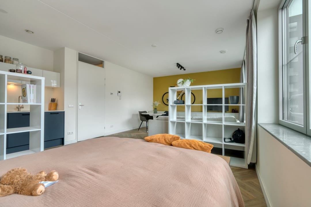 Foto 17 van Rinus Michelslaan 227