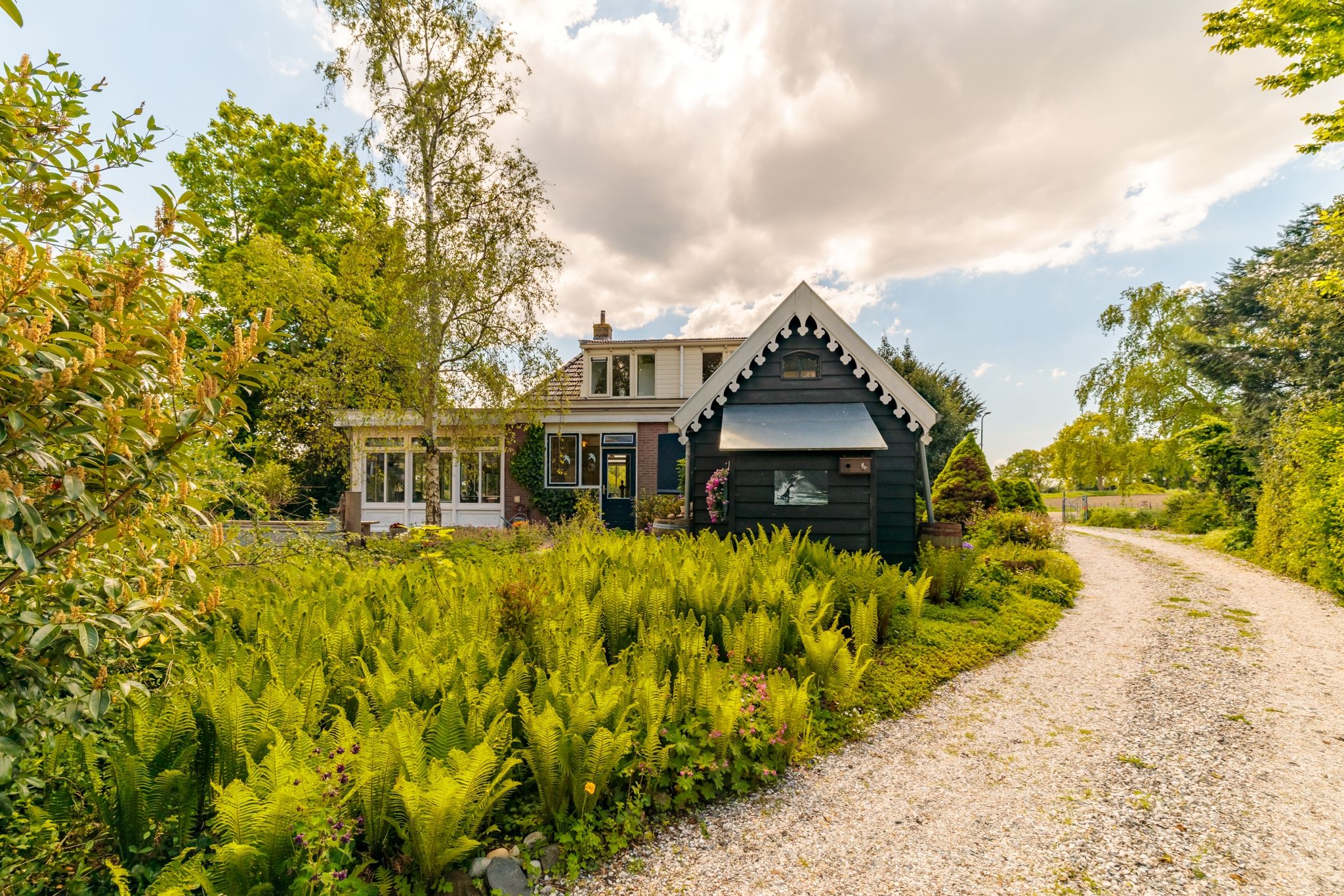 Foto 30 van Nijbuorren 3