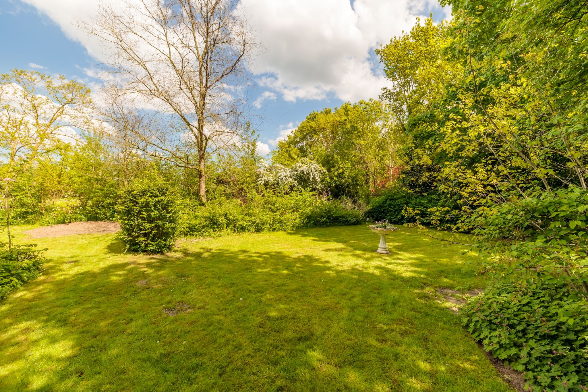 Foto 42 van Nijbuorren 3