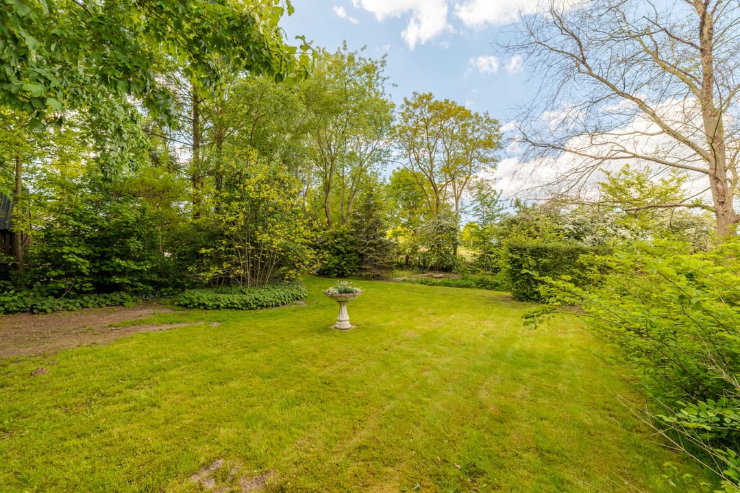 Foto 43 van Nijbuorren 3