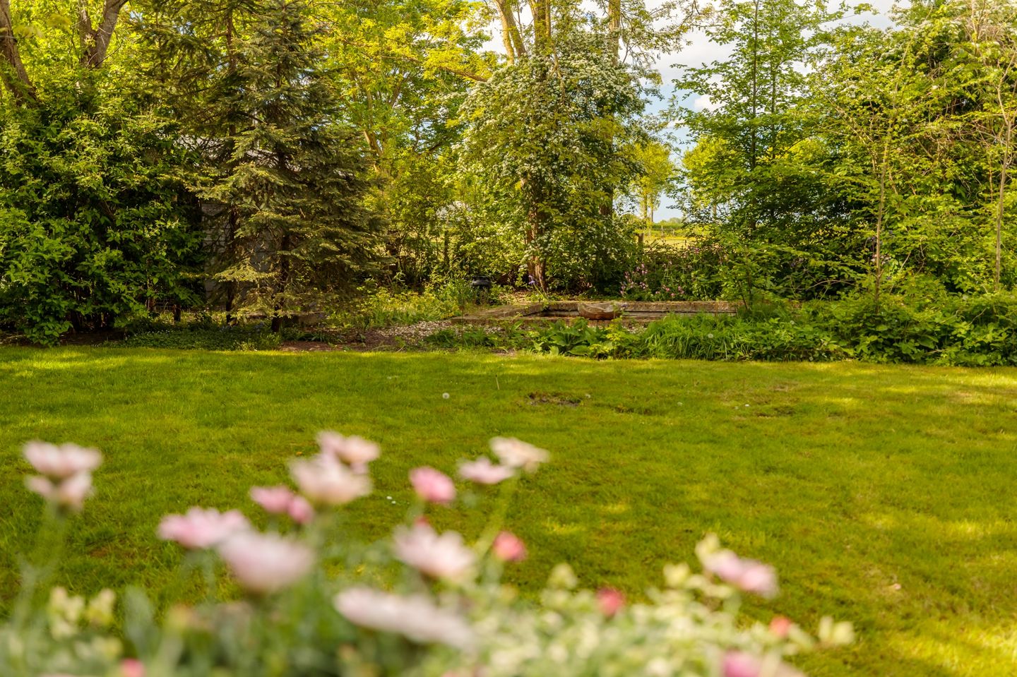 Foto 44 van Nijbuorren 3