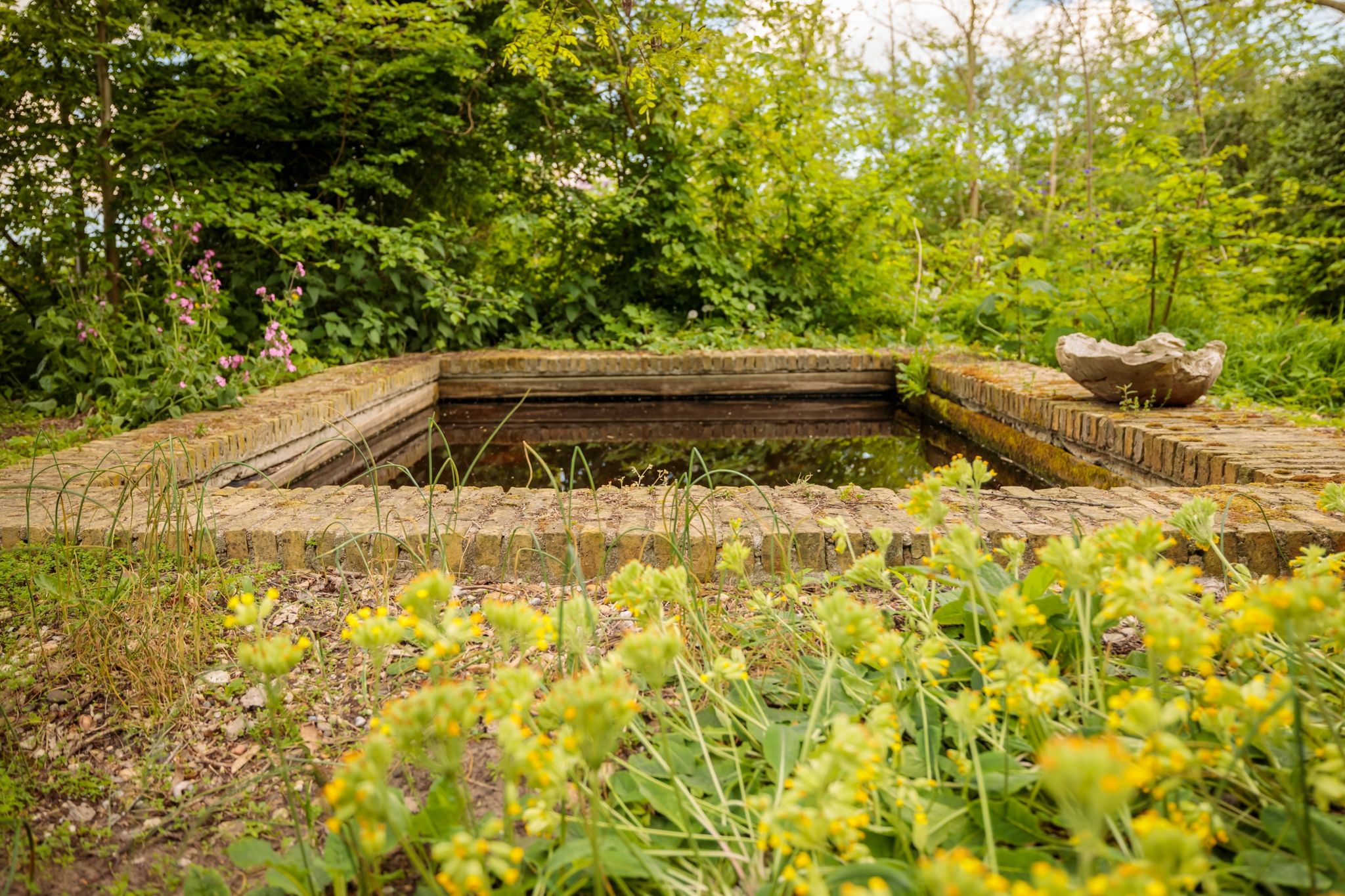 Foto 45 van Nijbuorren 3