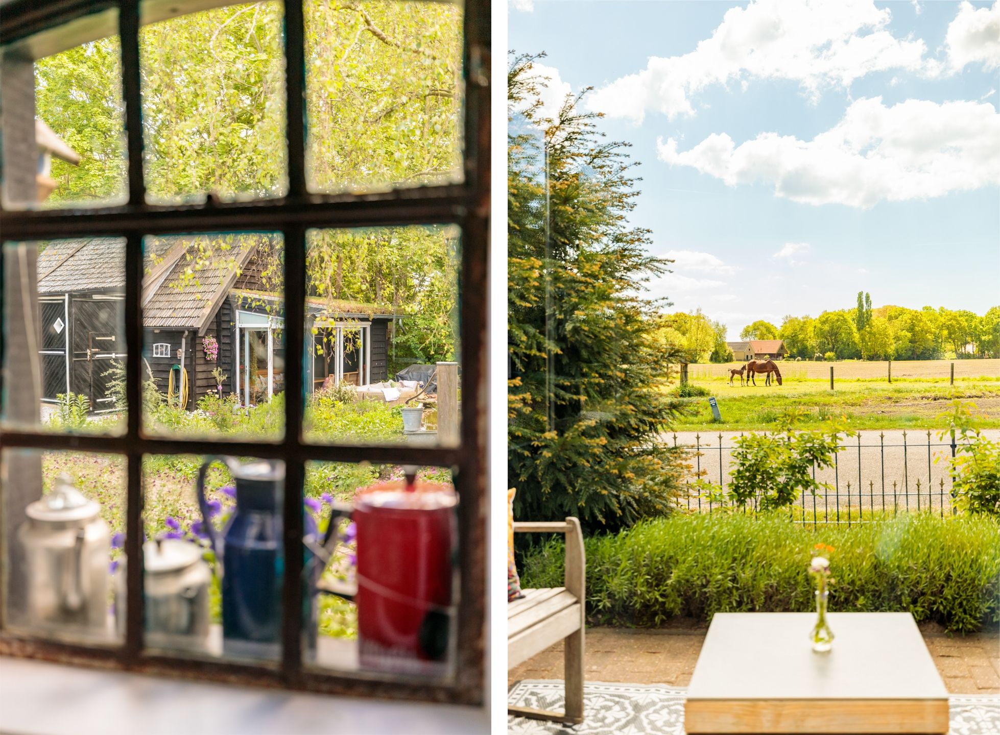 Foto 54 van Nijbuorren 3