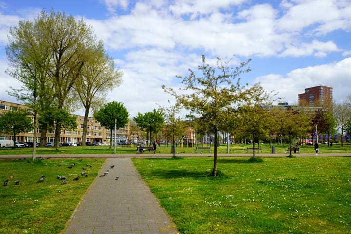 Foto 18 van Zuidplein 562