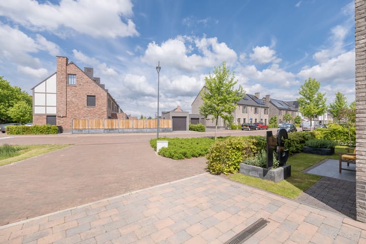 Foto 52 van Kouter 31