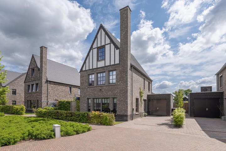 Foto 54 van Kouter 31