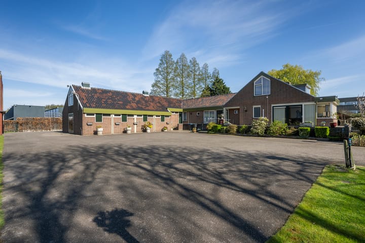 Foto 4 van Haantje 24-C