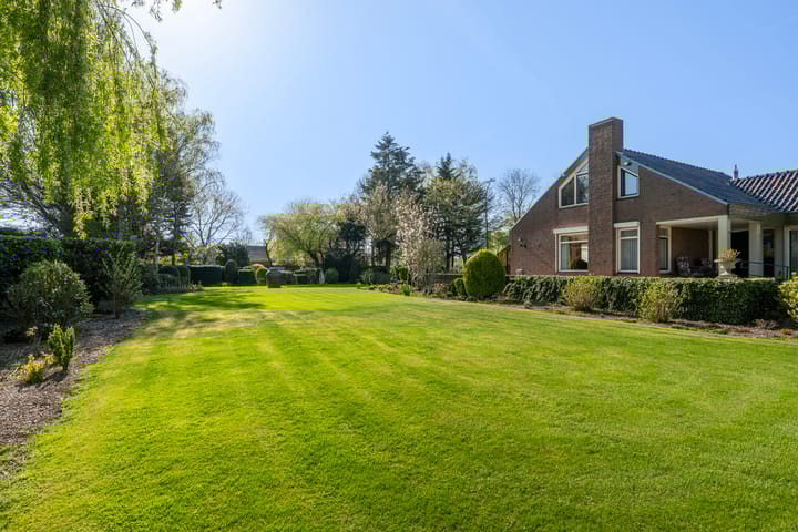 Foto 9 van Haantje 24-C