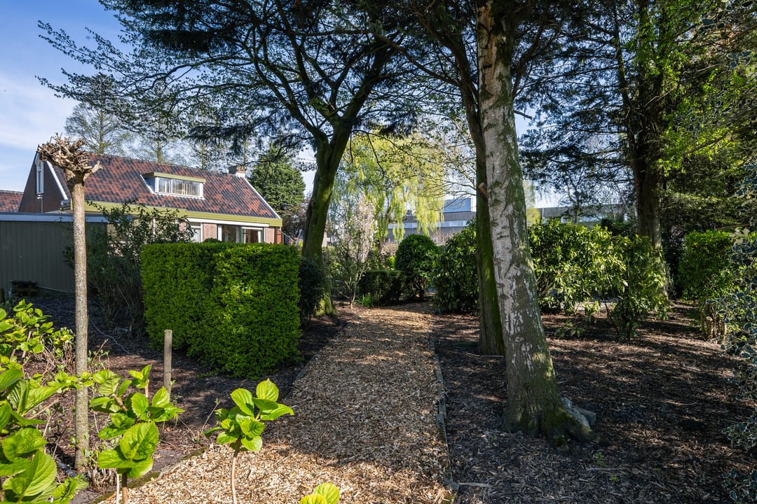 Foto 13 van Haantje 24-C