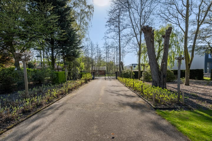 Foto 14 van Haantje 24-C