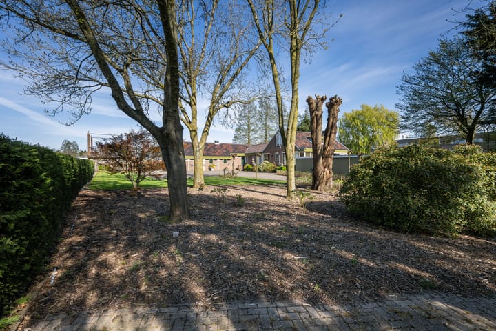 Foto 15 van Haantje 24-C