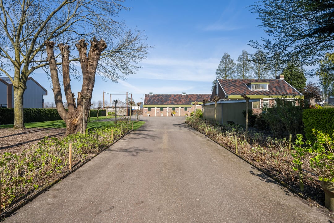 Foto 16 van Haantje 24-C