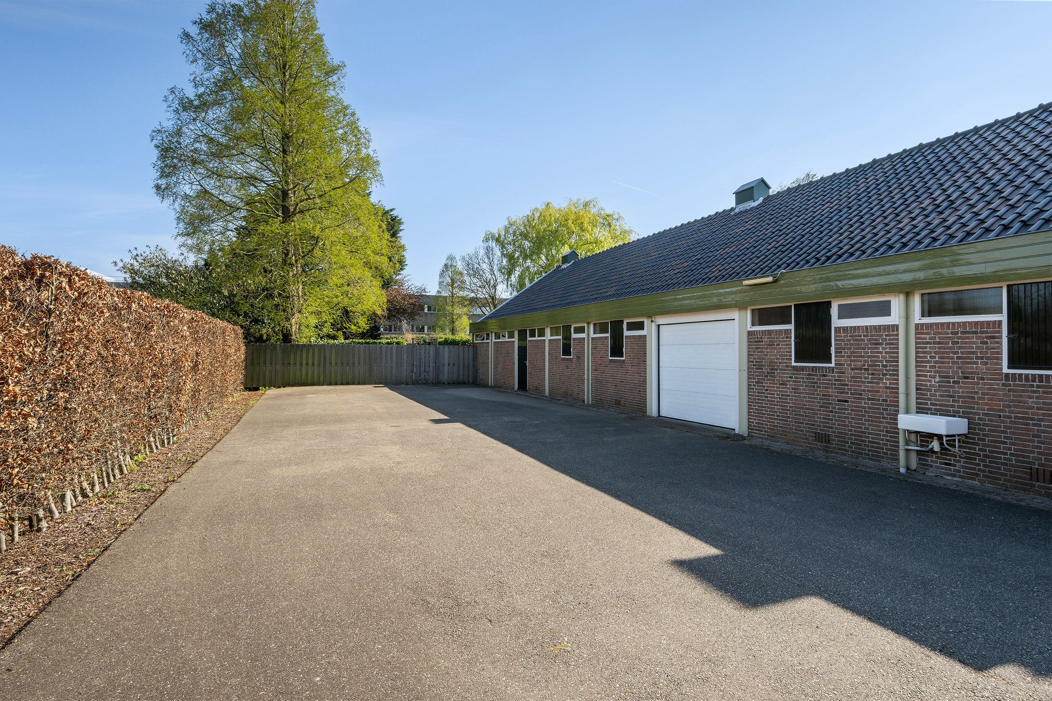 Foto 21 van Haantje 24-C