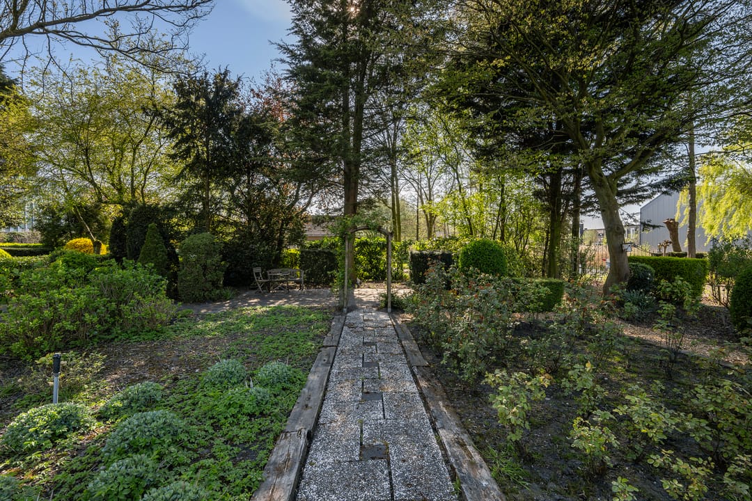 Foto 26 van Haantje 24-C