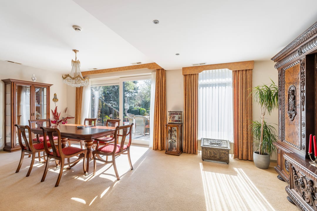 Foto 31 van Haantje 24-C