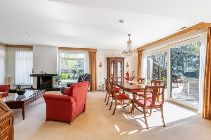 Foto 32 van Haantje 24-C