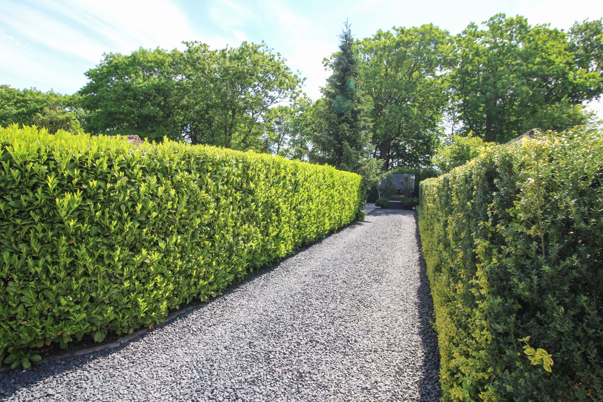 Foto 48 van Kieftveen 30-922