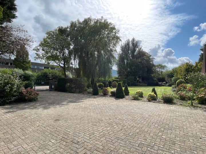 Foto 73 van Haantje 24-C