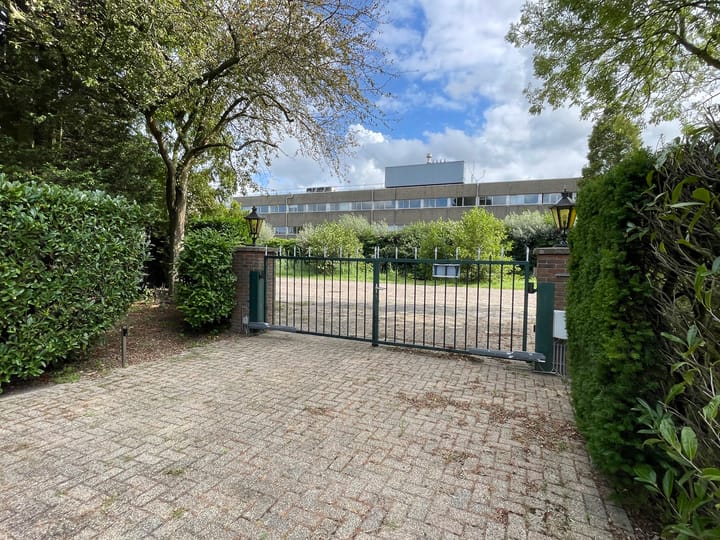 Foto 74 van Haantje 24-C