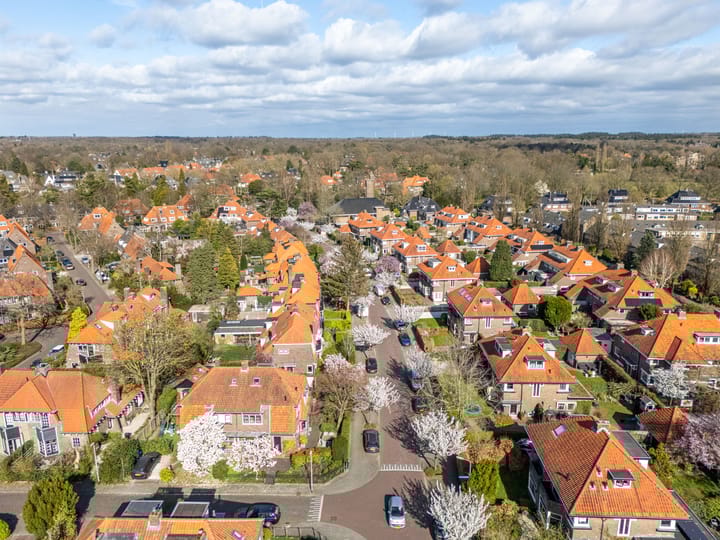 Foto 49 van Tesselschadelaan 9