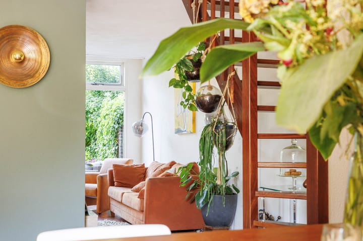 Foto 17 van Zonnebloem 2