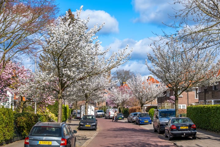 Foto 50 van Tesselschadelaan 9