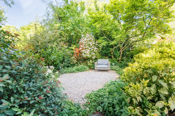 Foto 25 van Zonnebloem 2