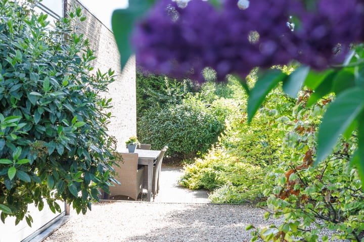 Foto 26 van Zonnebloem 2