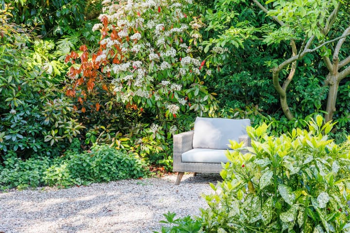 Foto 27 van Zonnebloem 2