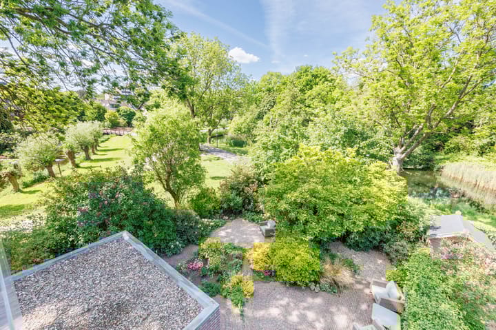 Foto 46 van Zonnebloem 2