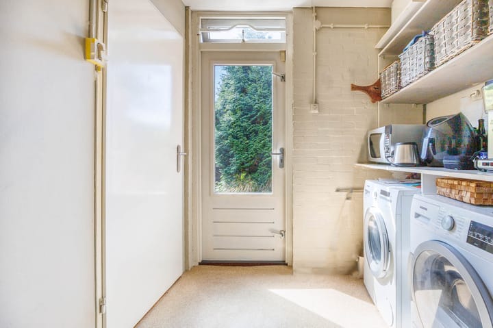 Foto 50 van Zonnebloem 2