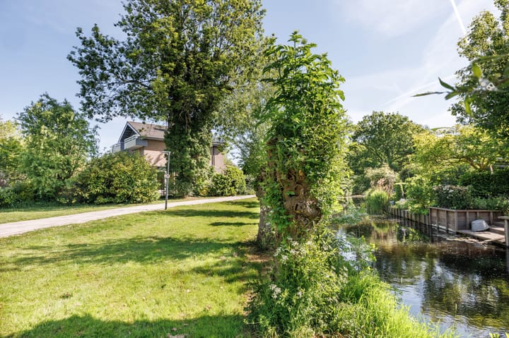 Foto 54 van Zonnebloem 2