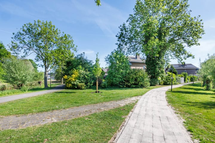 Foto 55 van Zonnebloem 2